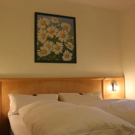 Gaestehaus Kirschgarten 3* Bodenheim