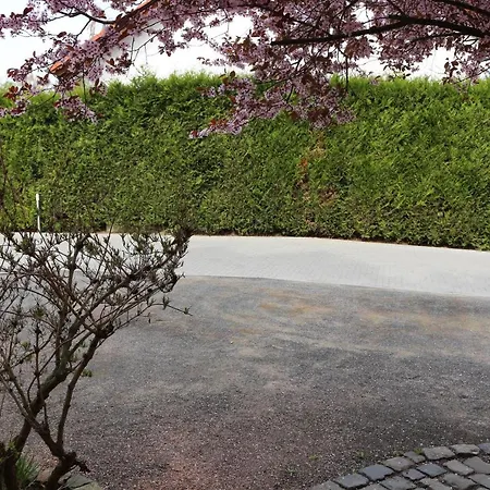 Gaestehaus Kirschgarten 3* Bodenheim